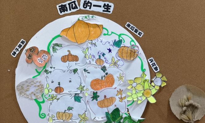 南瓜种子的催芽方法（如何让南瓜种子快速萌发）