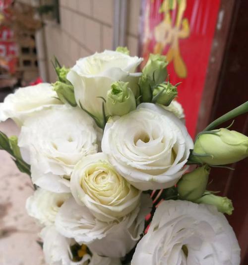 表示忏悔的花花语是什么？如何用花表达忏悔？