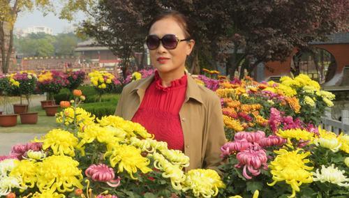多头菊的花语是什么？如何正确解读多头菊的含义？