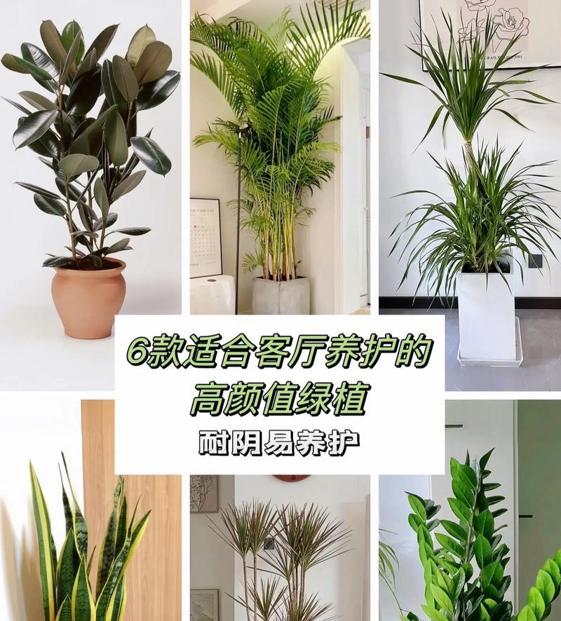 什么植物适合对植配置？对植配置的植物选择有哪些技巧？