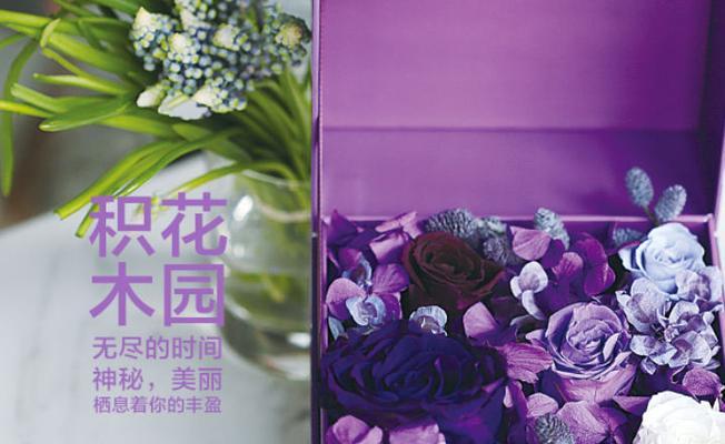 紫色玫瑰花语有哪些含义？