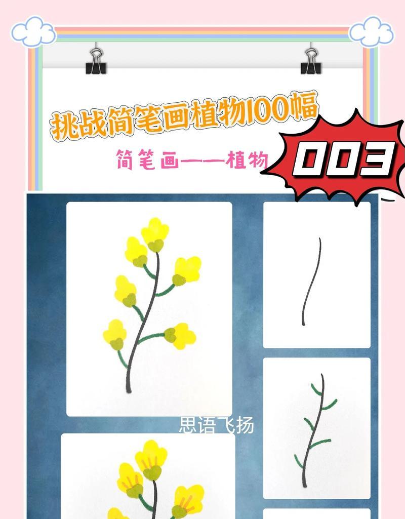 如何画好关于植物的画？有哪些绘画技巧？
