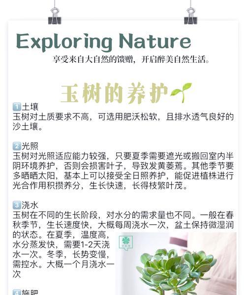 冬季花卉裹树布有哪些作用？它们如何保护植物？