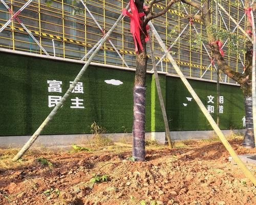 冬季花卉裹树布有哪些作用？它们如何保护植物？