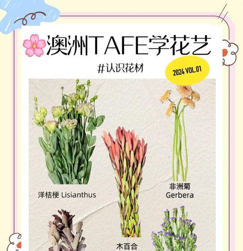 洋桔梗与白玫瑰组合的花语是什么？