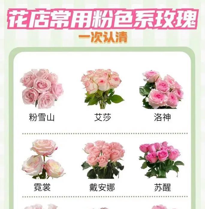 种玫瑰花有哪些步骤和技巧？