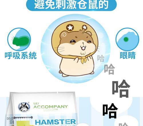 仓鼠干玫瑰花怎么养活？有哪些特别的养护需求？