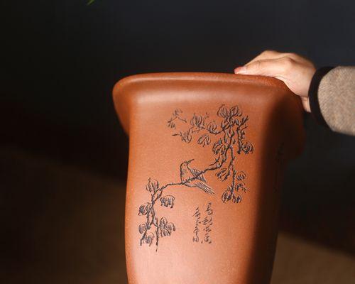 花盆大号君子兰好养吗？如何正确养护？