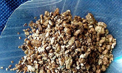 如何制作适合仙人球的种植土配比表？