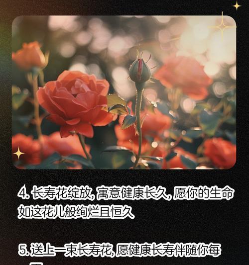 老公给送的花花语是什么？丈夫送花的花语通常表达了什么？