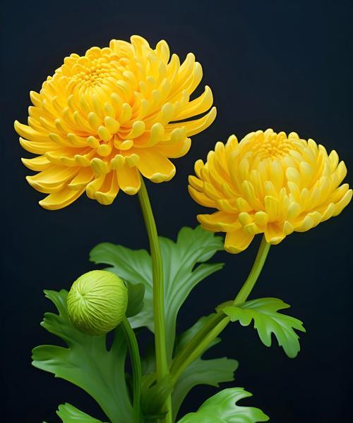 哪种花的花语是表达对逝去亲人的思念？