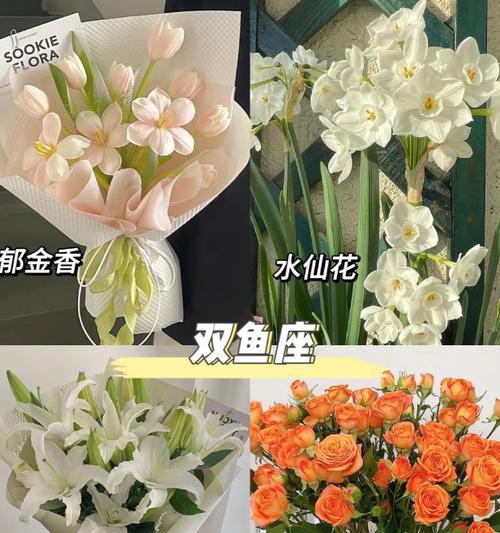 智慧花语具体指什么含义？
