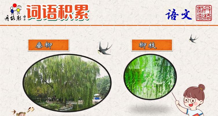 知了柳叶的寓意和花语是什么？知了与柳叶共同的寓意是什么？