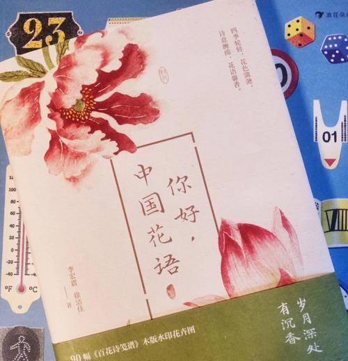 如何通过花语表达自爱？