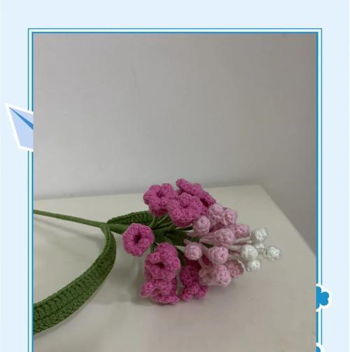 粉风信子象征着什么？它的花语有哪些？