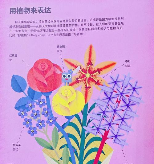 地衣的花语和寓意有何历史？起源是什么？