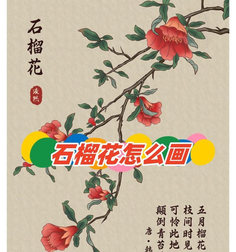 哪种花的花语代表外向开朗的性格？