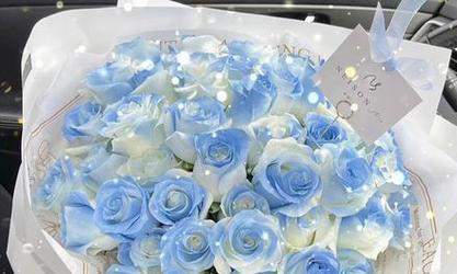 蓝色和白色组合的花语有何含义？