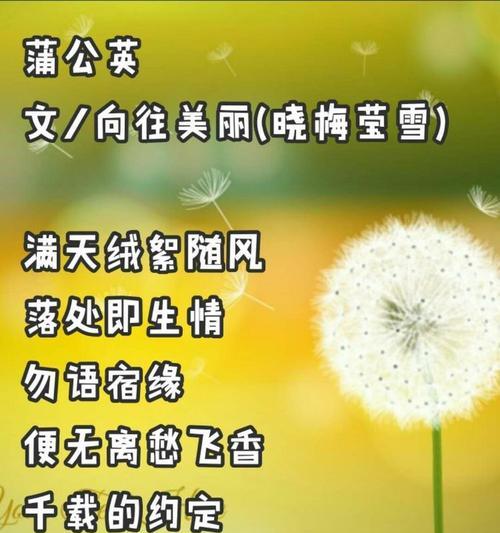 蒲公英在云间飘散的花语是什么？