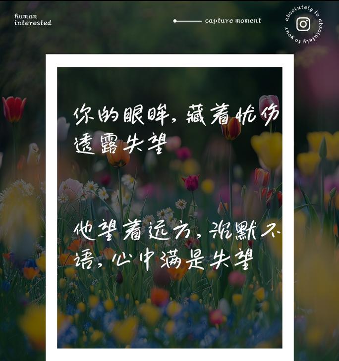 表达失望和难过的花语有哪些？