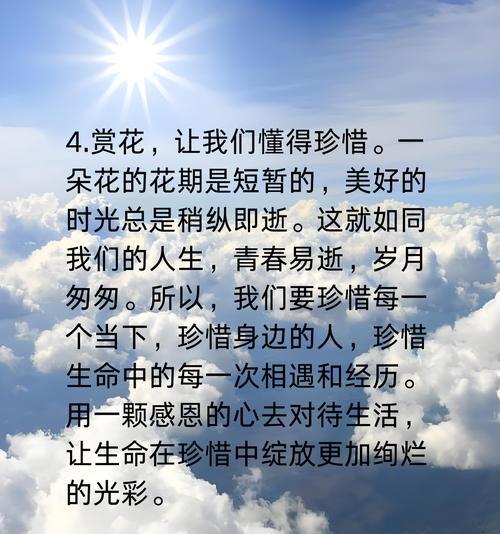 花语淡然的结局是什么？花语淡然通常表达什么意思？
