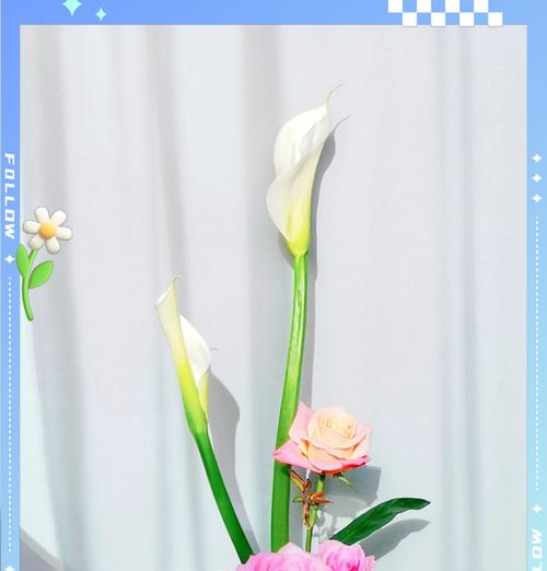 花语淡然的结局是什么？花语淡然通常表达什么意思？