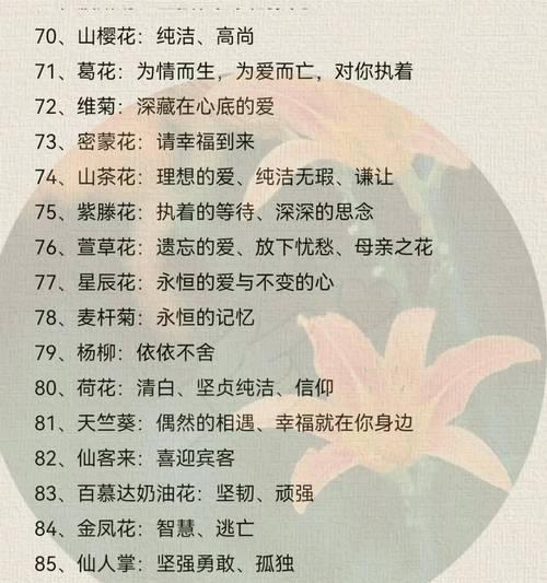 樱花友谊的花语是什么？樱花代表的友情有哪些深层含义？