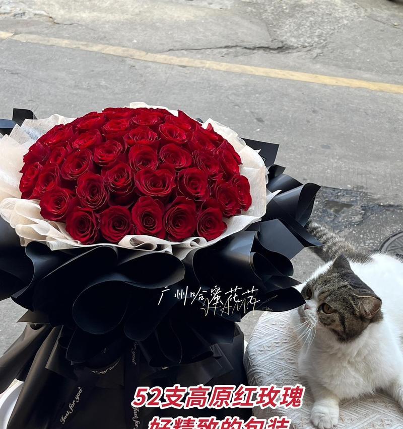 玫瑰花的含义中包含了哪些品质？它们各自代表什么？