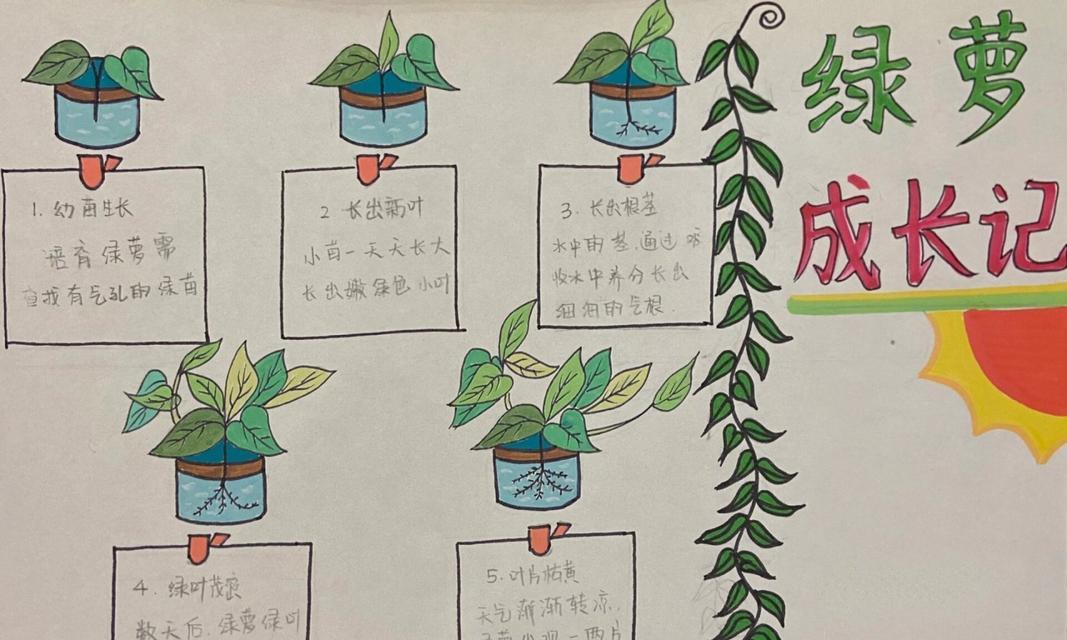 绿萝种植技巧有哪些？怎样才能养出茂盛的绿萝？