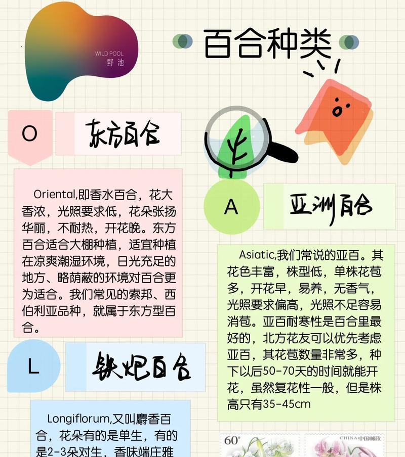 百合花种植方法是什么？如何照料百合花？