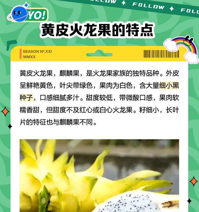 火龙果的外观特征是什么？如何挑选新鲜火龙果？