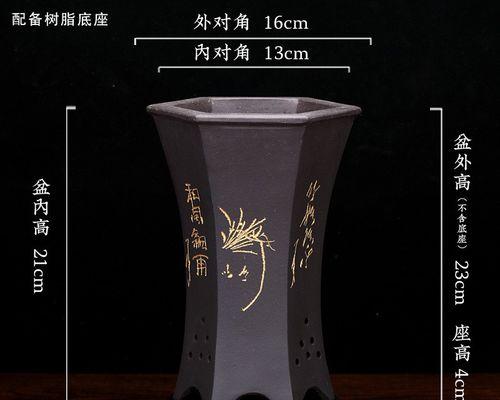 黑色花有哪些？它们在园艺中有什么特别之处？