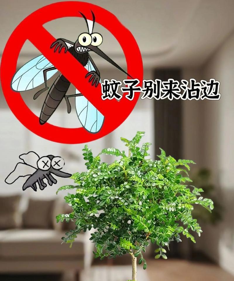 哪些植物具有驱蚊效果？