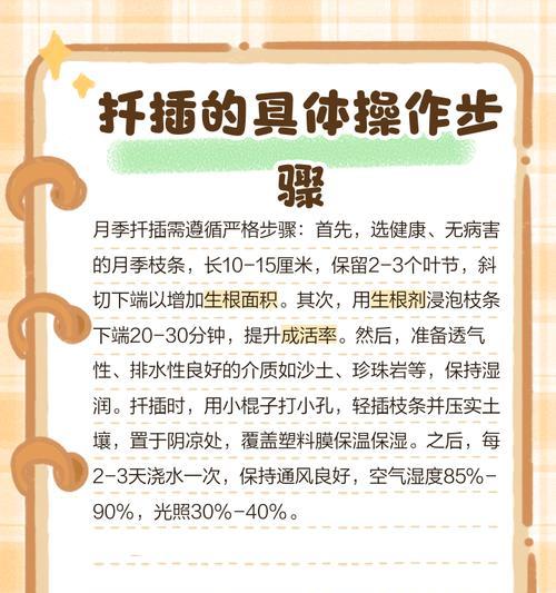 月季插枝的最佳时机是什么时候？月季插枝成功的关键是什么？