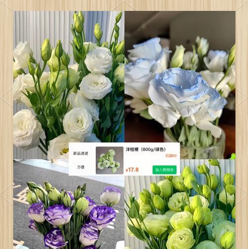 秋季适合养哪些花？如何选择适合秋季的花卉？