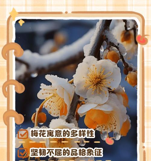 梅花在中国文化中代表什么？梅花的象征意义是什么？