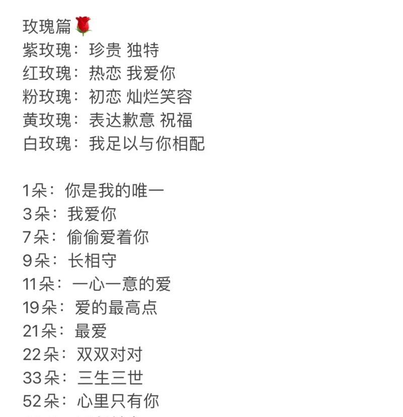 玫瑰玫瑰的花语何时播出？它传达了什么信息？
