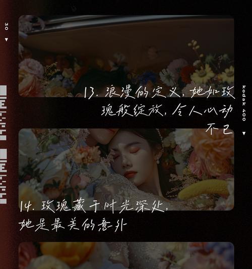玫瑰玫瑰的花语何时播出？它传达了什么信息？