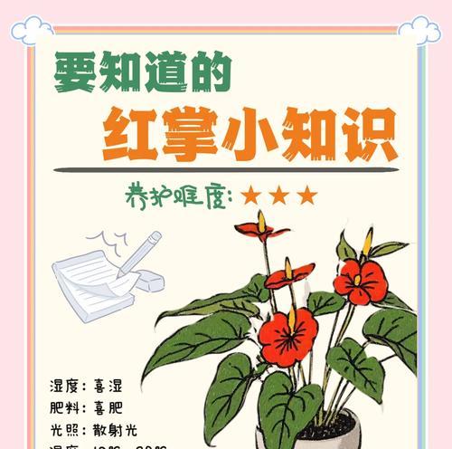 粉掌水培技巧有哪些？如何保持粉掌健康生长？