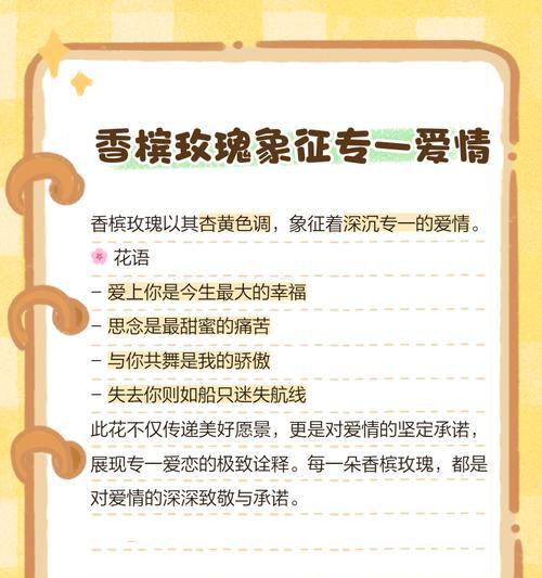 香槟玫瑰的花语有何含义？香槟玫瑰象征着什么？