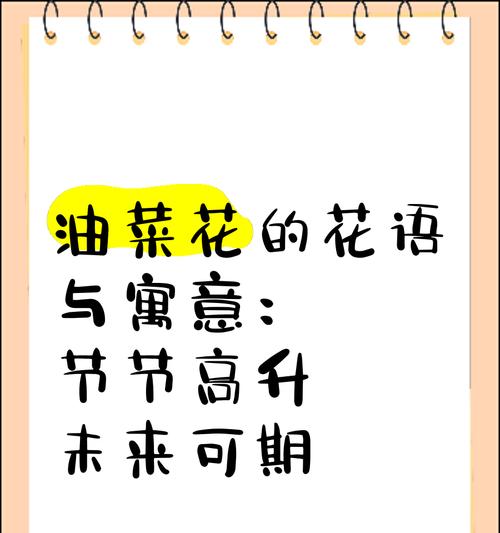 什么花语适合爸爸用呢女生？女生送给爸爸的花语应该是什么？