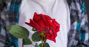 15号玫瑰花有何特殊含义？手拿玫瑰花的寓意是什么？