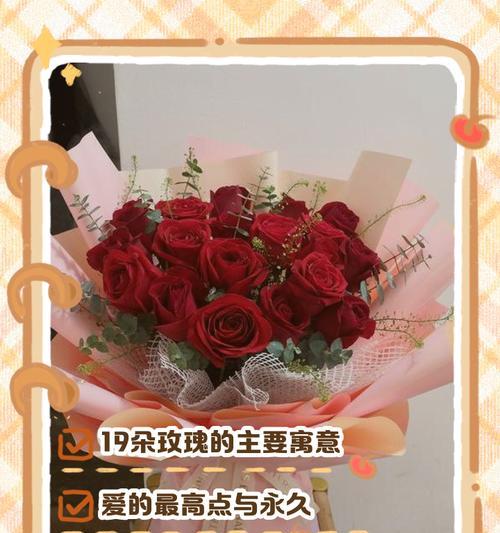15号玫瑰花有何特殊含义？手拿玫瑰花的寓意是什么？