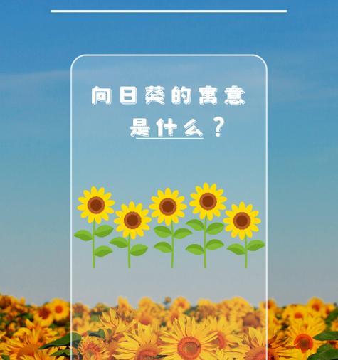 七月五号对应的花语是什么？七月五号的花语有何特别之处？