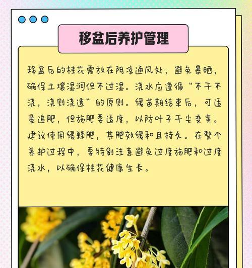 桂花树如何养护？有哪些养护攻略？