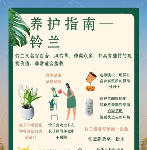铃兰叶子枯萎了怎么办？烂根还是休眠？