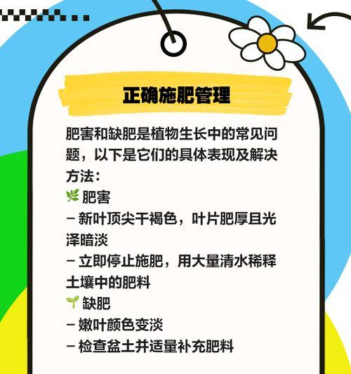 植物叶子发黄怎么办？解决方法大公开