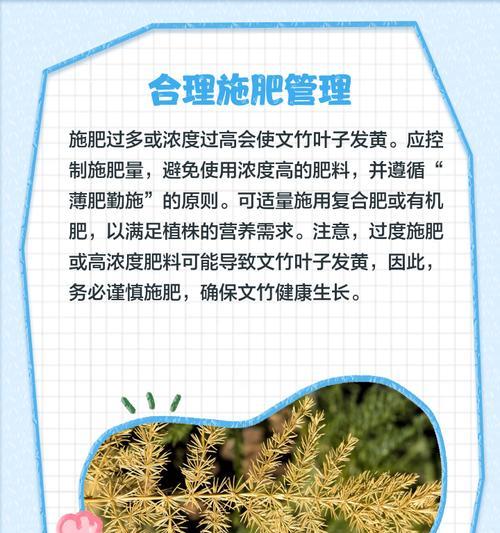植物叶子发黄怎么办？解决方法大公开