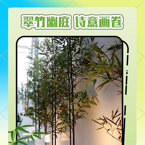 门前种竹的寓意：享福还是狠毒？