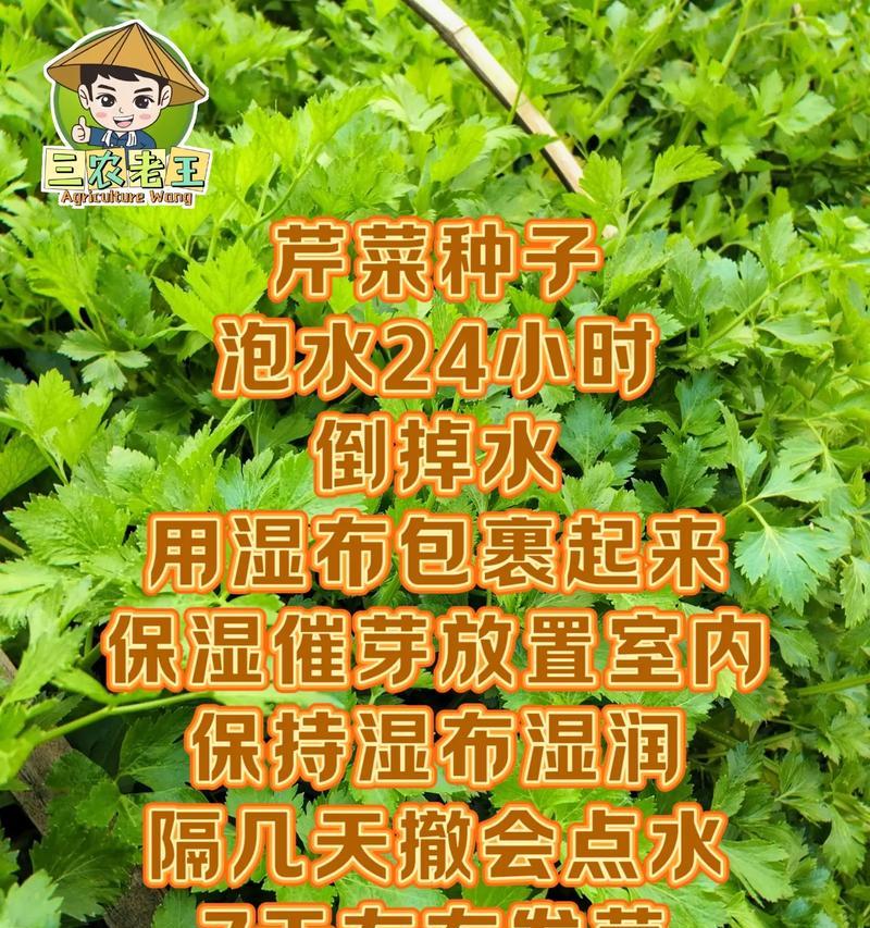 种子催芽是什么？为什么重要？